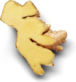 Garnier Loving Blends Gember Boost Revitaliserende Shampoo - 6 X 300ml -Garnier winkel 1104x1200 2