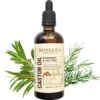 Roselea Organics - Biologische Castor Olie Met Rozemarijn & Tea Tree – Voedt Het Haar En Stimuleert De Haargroei - Versterkt Haar, Wimpers, Wenkbrauwen En Nagels - Al Onze Ingrediënten Zijn Natuurlijk (100 %) En Biologisch (99 %) - 100 Ml.