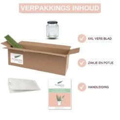Dr. Green® 1x- Aloë Vera Blad - MAAK GEL IN 3 MINUTEN - 100% Puur - Biologisch 18 Dr. Green® 1x- Aloë Vera Blad - MAAK GEL IN 3 MINUTEN - 100% Puur - Biologisch -Garnier winkel 1200x1200 20