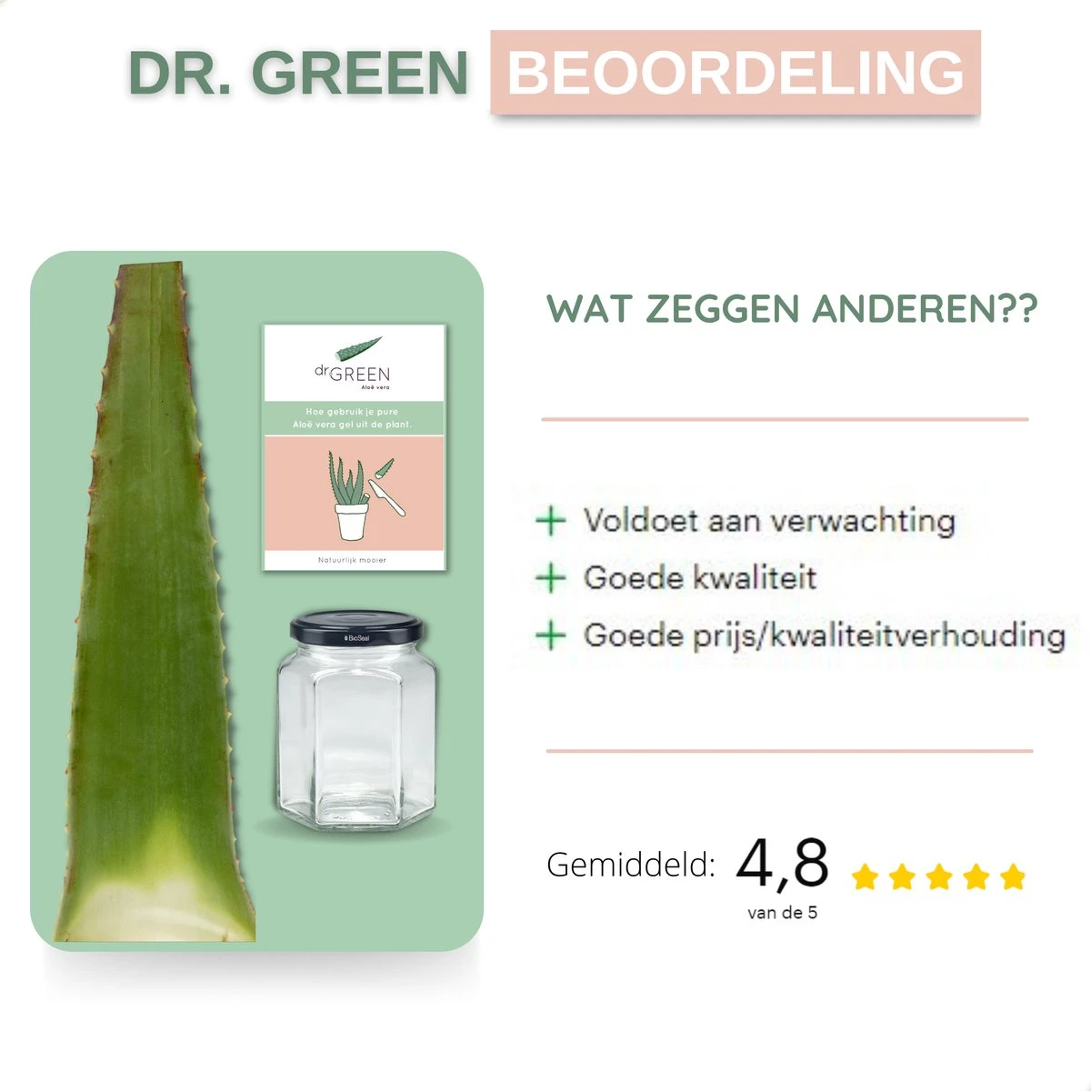 Dr. Green® 1x- Aloë Vera Blad - MAAK GEL IN 3 MINUTEN - 100% Puur - Biologisch 8 Dr. Green® 1x- Aloë Vera Blad - MAAK GEL IN 3 MINUTEN - 100% Puur - Biologisch - Afbeelding 8