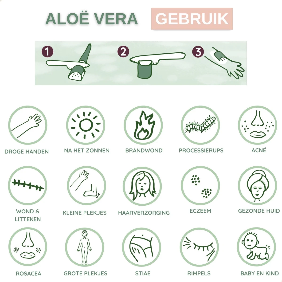 Dr. Green® 1x- Aloë Vera Blad - MAAK GEL IN 3 MINUTEN - 100% Puur - Biologisch 10 Dr. Green® 1x- Aloë Vera Blad - MAAK GEL IN 3 MINUTEN - 100% Puur - Biologisch - Afbeelding 10