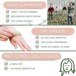 Dr. Green® 1x- Aloë Vera Blad - MAAK GEL IN 3 MINUTEN - 100% Puur - Biologisch 22 Dr. Green® 1x- Aloë Vera Blad - MAAK GEL IN 3 MINUTEN - 100% Puur - Biologisch -Garnier winkel 1200x1200 24