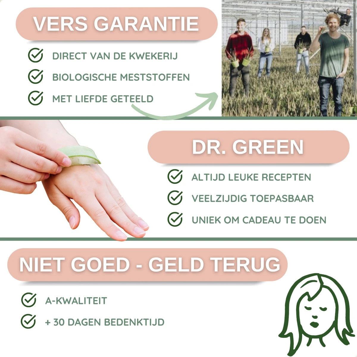Dr. Green® 1x- Aloë Vera Blad - MAAK GEL IN 3 MINUTEN - 100% Puur - Biologisch 11 Dr. Green® 1x- Aloë Vera Blad - MAAK GEL IN 3 MINUTEN - 100% Puur - Biologisch - Afbeelding 11