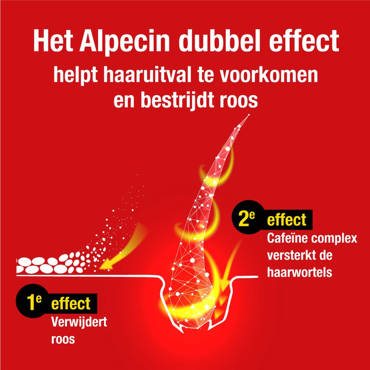 Alpecin Double Effect 200ml | Anti Roos En Natuurlijke Haargroei Shampoo | Voorkomt En Vermindert Haaruitval 3 Alpecin Double Effect 200ml | Anti Roos En Natuurlijke Haargroei Shampoo | Voorkomt En Vermindert Haaruitval - Afbeelding 3