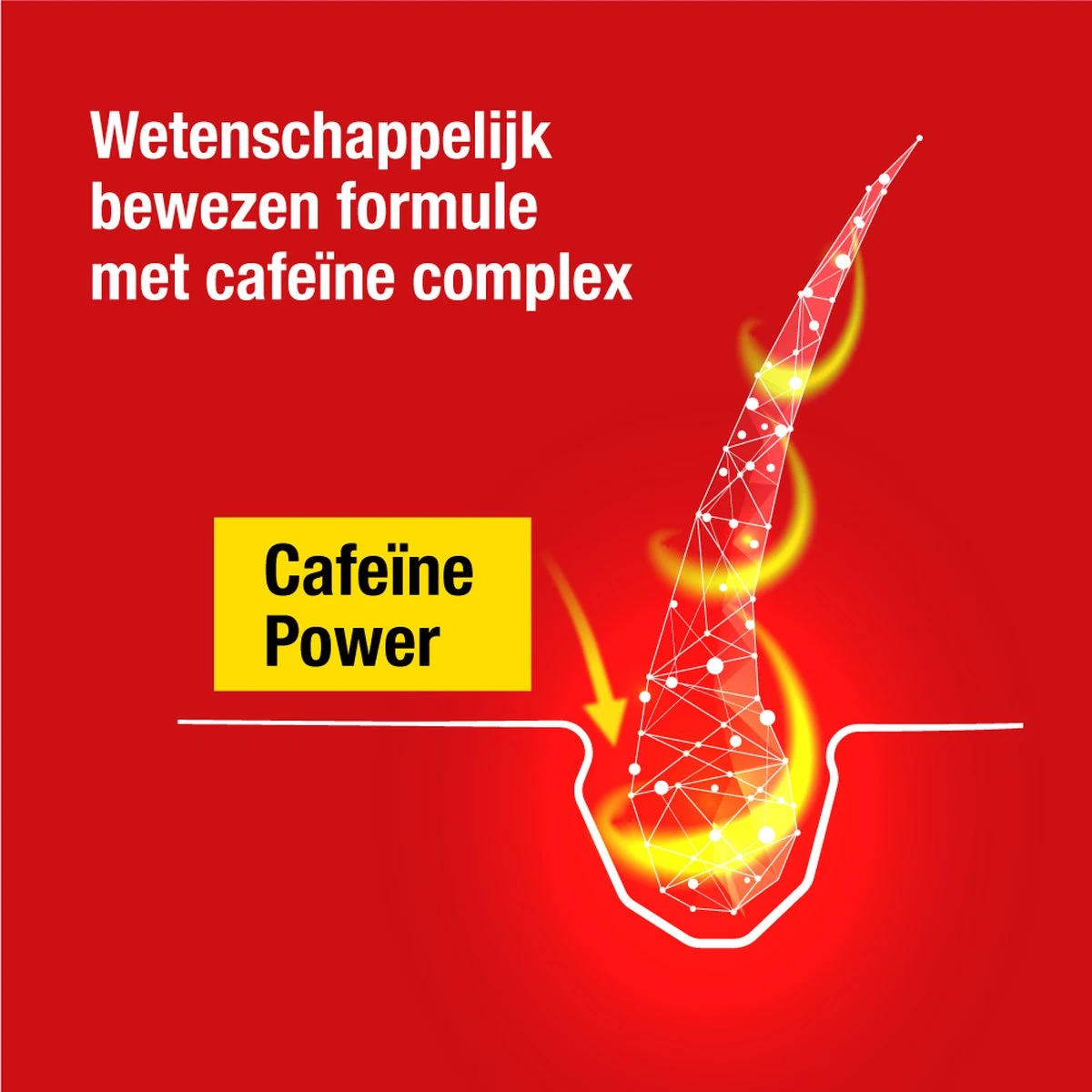 Alpecin Cafeïne Liquid Hair Tonic 200ml | Voorkomt Haaruitval En Ondersteunt De Haargroei | Voor Alle Haar En Hoofdhuid Types 3 Alpecin Cafeïne Liquid Hair Tonic 200ml | Voorkomt Haaruitval En Ondersteunt De Haargroei | Voor Alle Haar En Hoofdhuid Types - Afbeelding 3