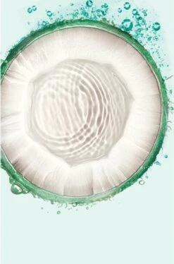 Garnier Fructis Compressed Droogshampoo Coco - 6 X 100 Ml 5 Garnier Fructis Compressed Droogshampoo Coco - 6 X 100 Ml -Garnier winkel 793x1200 1